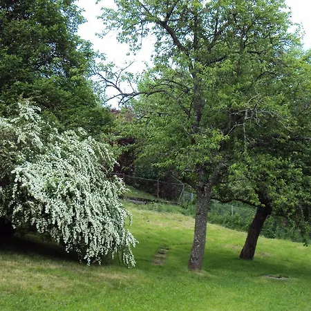 酒店 La Ferme Des Fees Bévilard