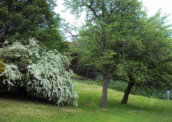 호텔 La Ferme Des Fees Bévilard